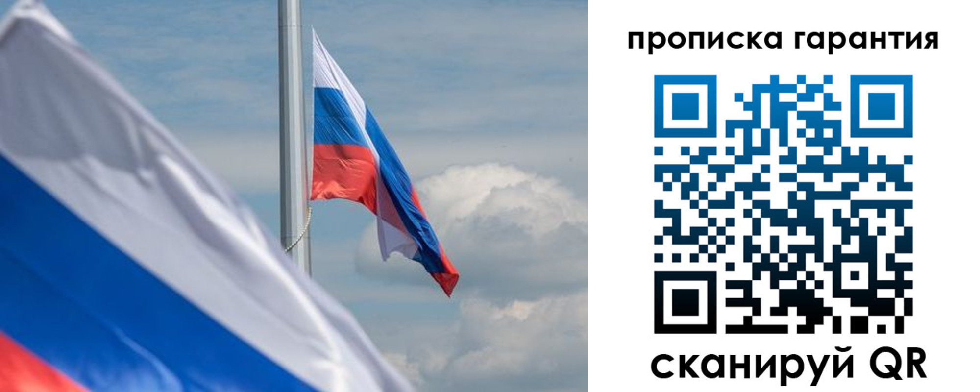 прописка поиск в Арамили